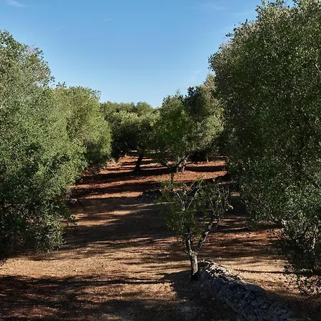 Trullo Dei Noci Con Piscina Apartment *
